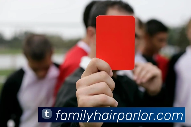 mk体育在线发展历程